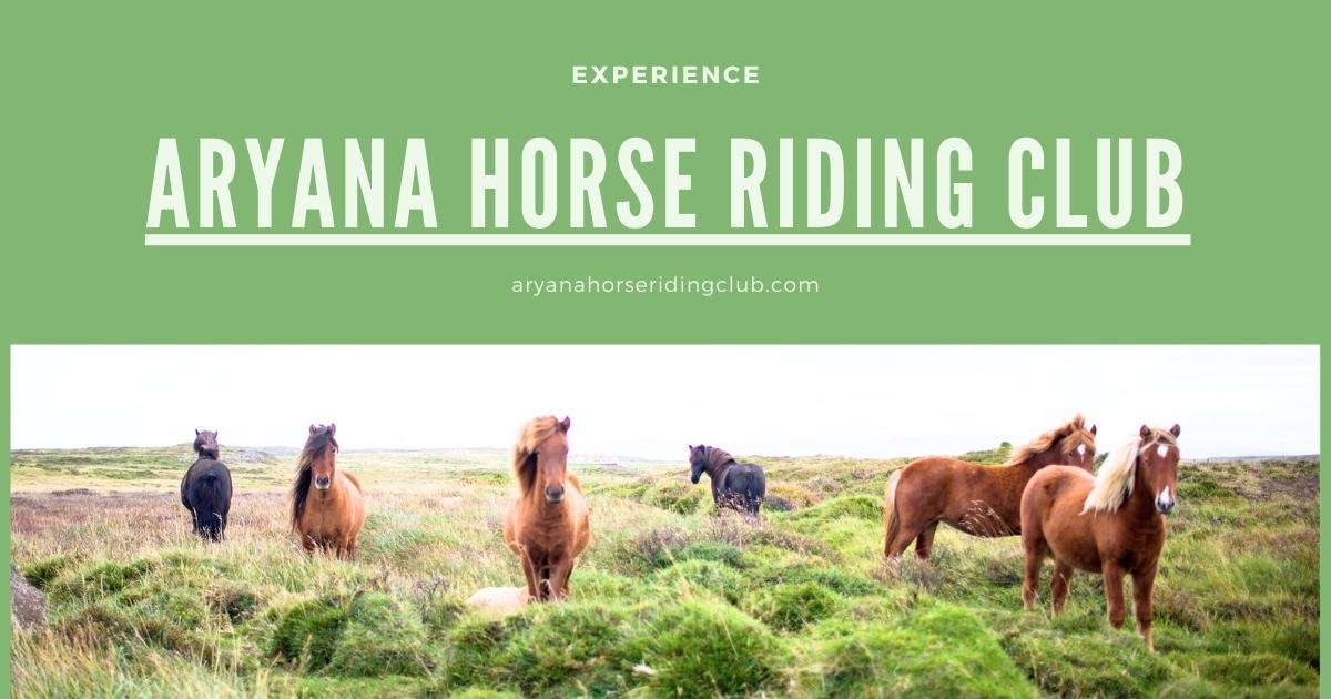 Aryana Horse Riding Club